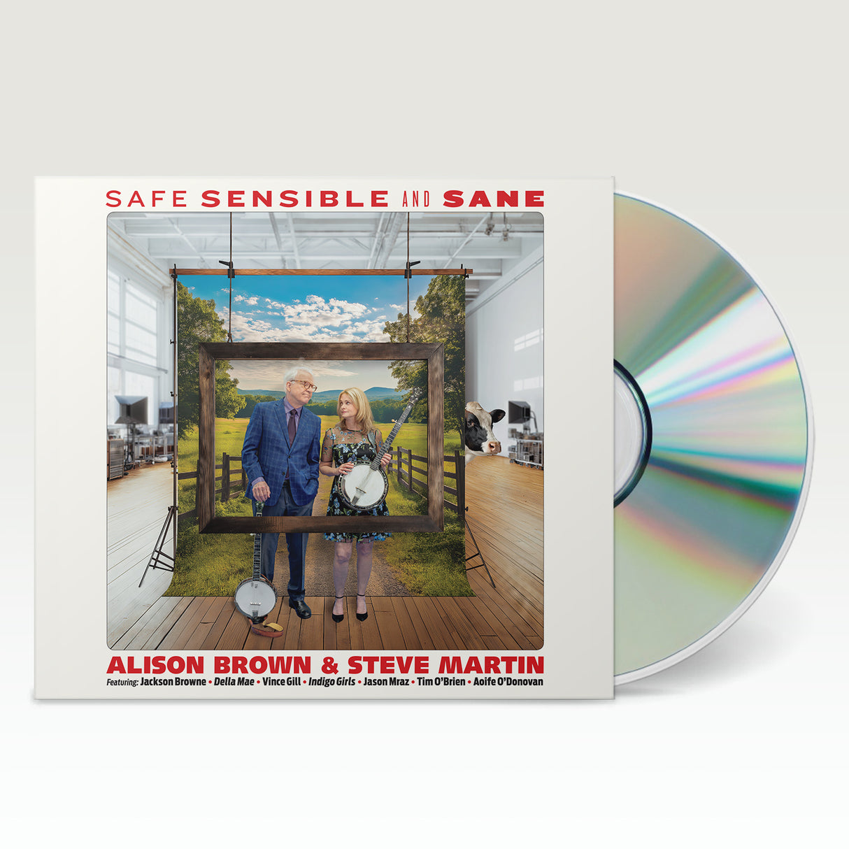 Safe, Sensible And Sane