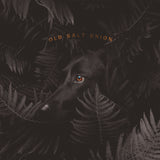 Where The Dogs Don't Bite