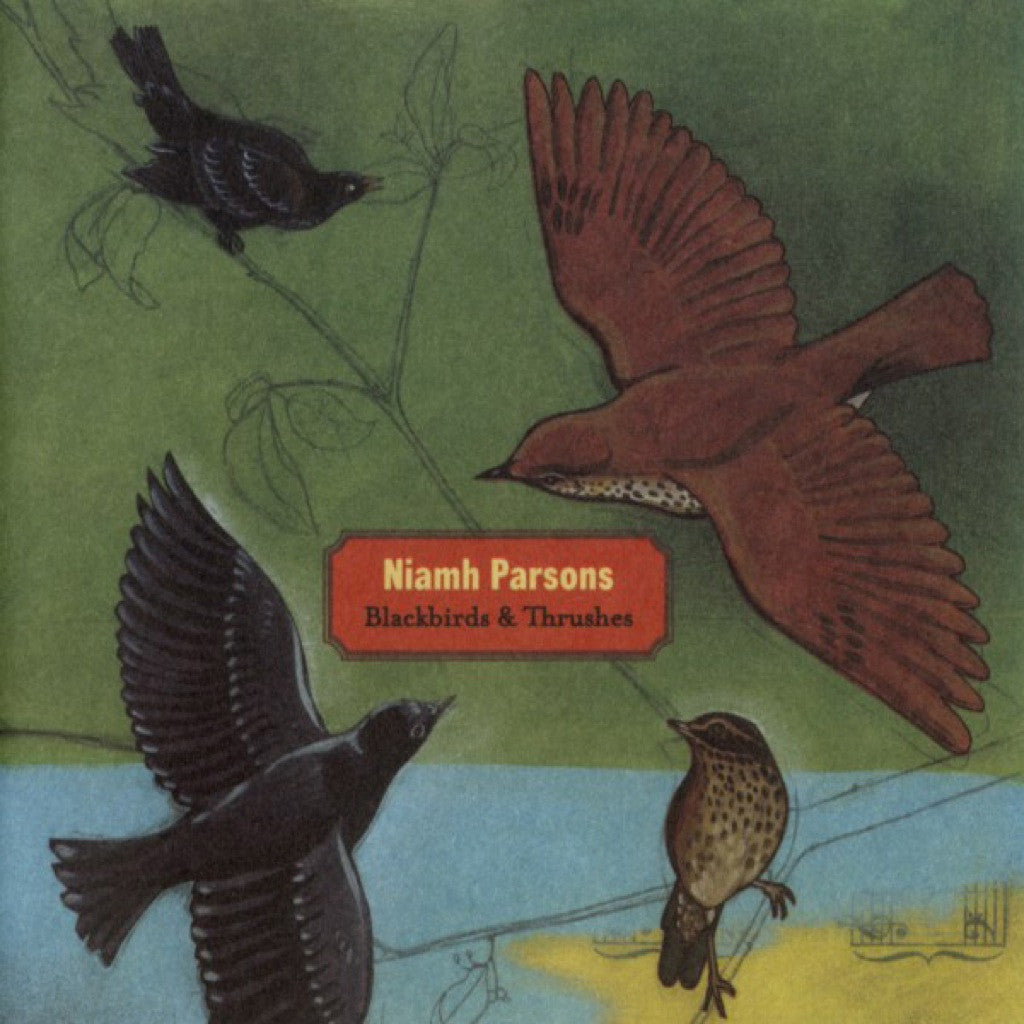 Blackbirds & Thrushes