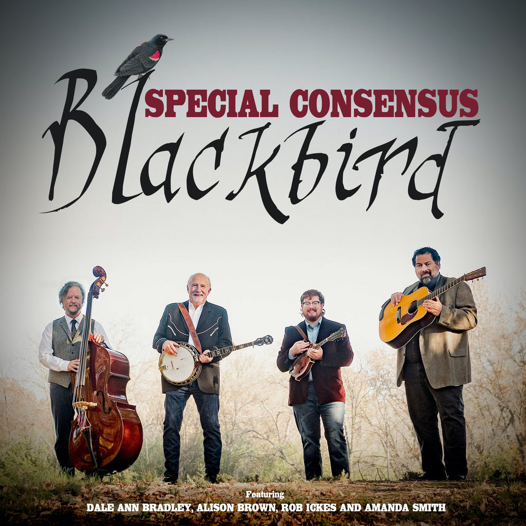 Blackbird (Single)